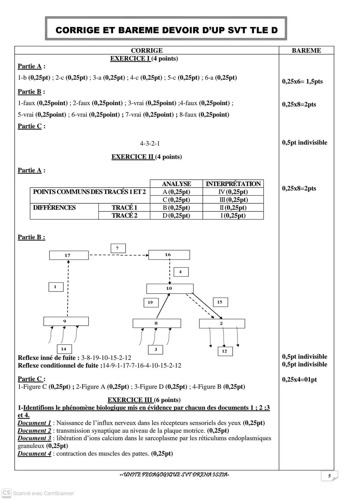 Page 2 — Corrigé SVT CI