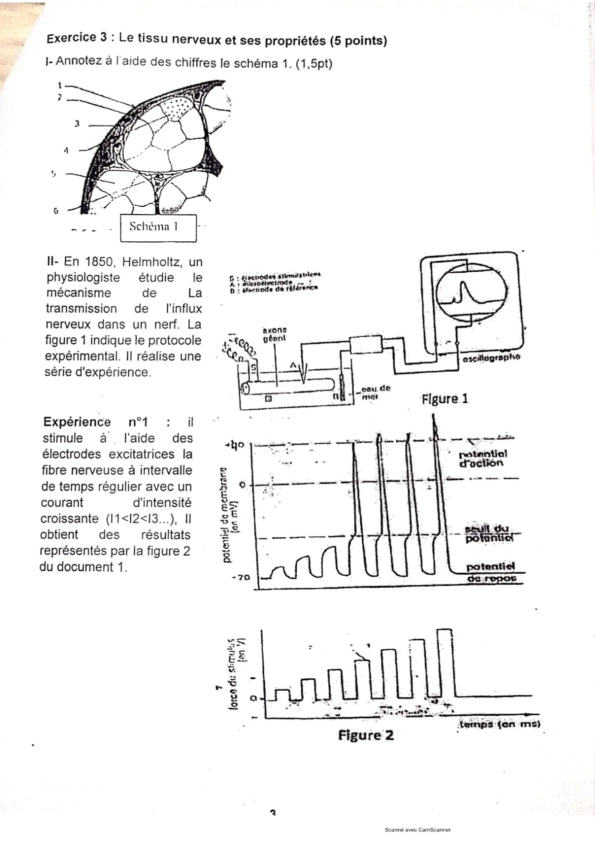 Page 8 — Bac blanc PMK 