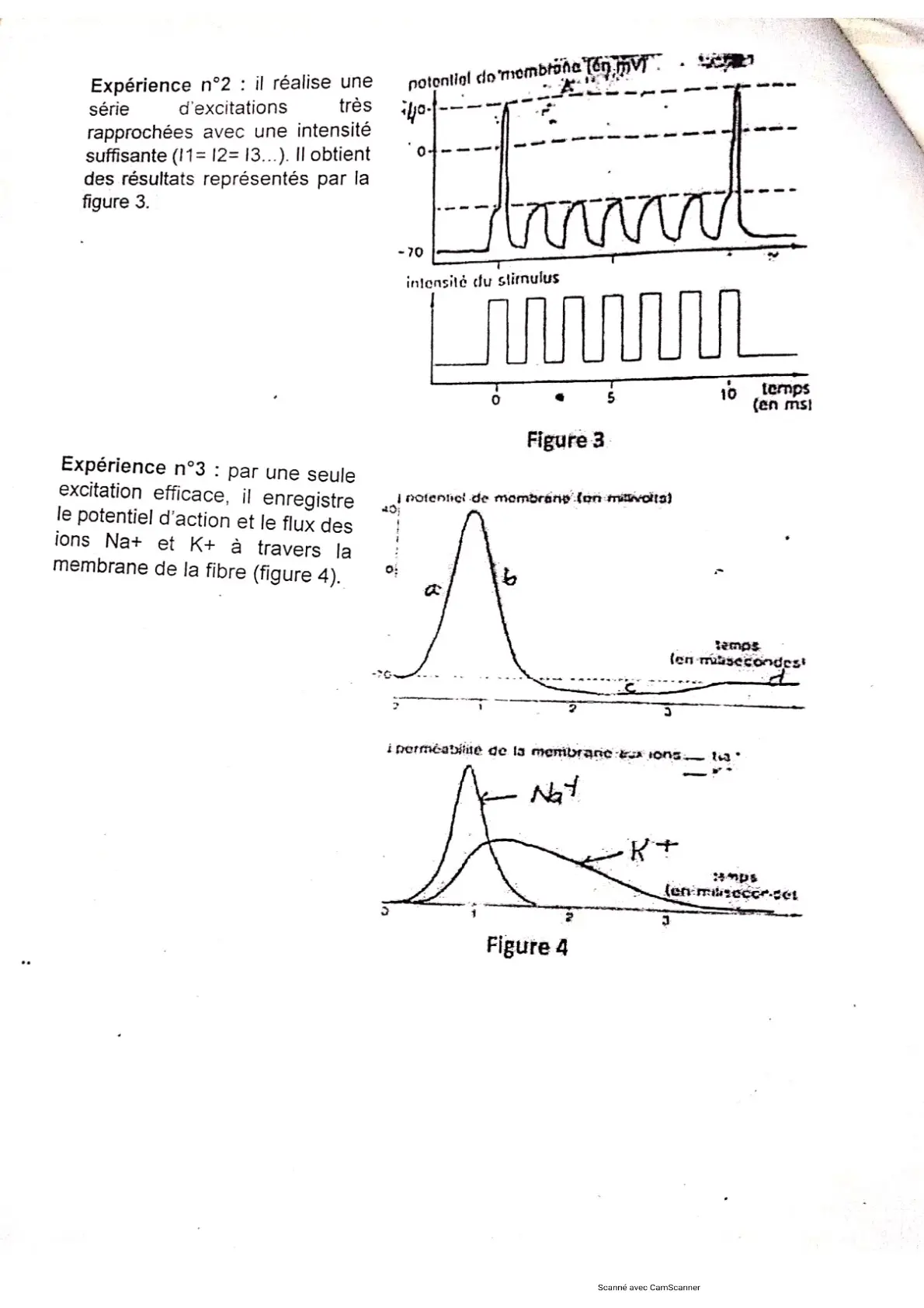 Page 9 — Bac blanc PMK 