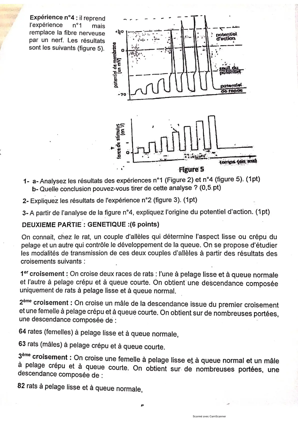 Page 10 — Bac blanc PMK 