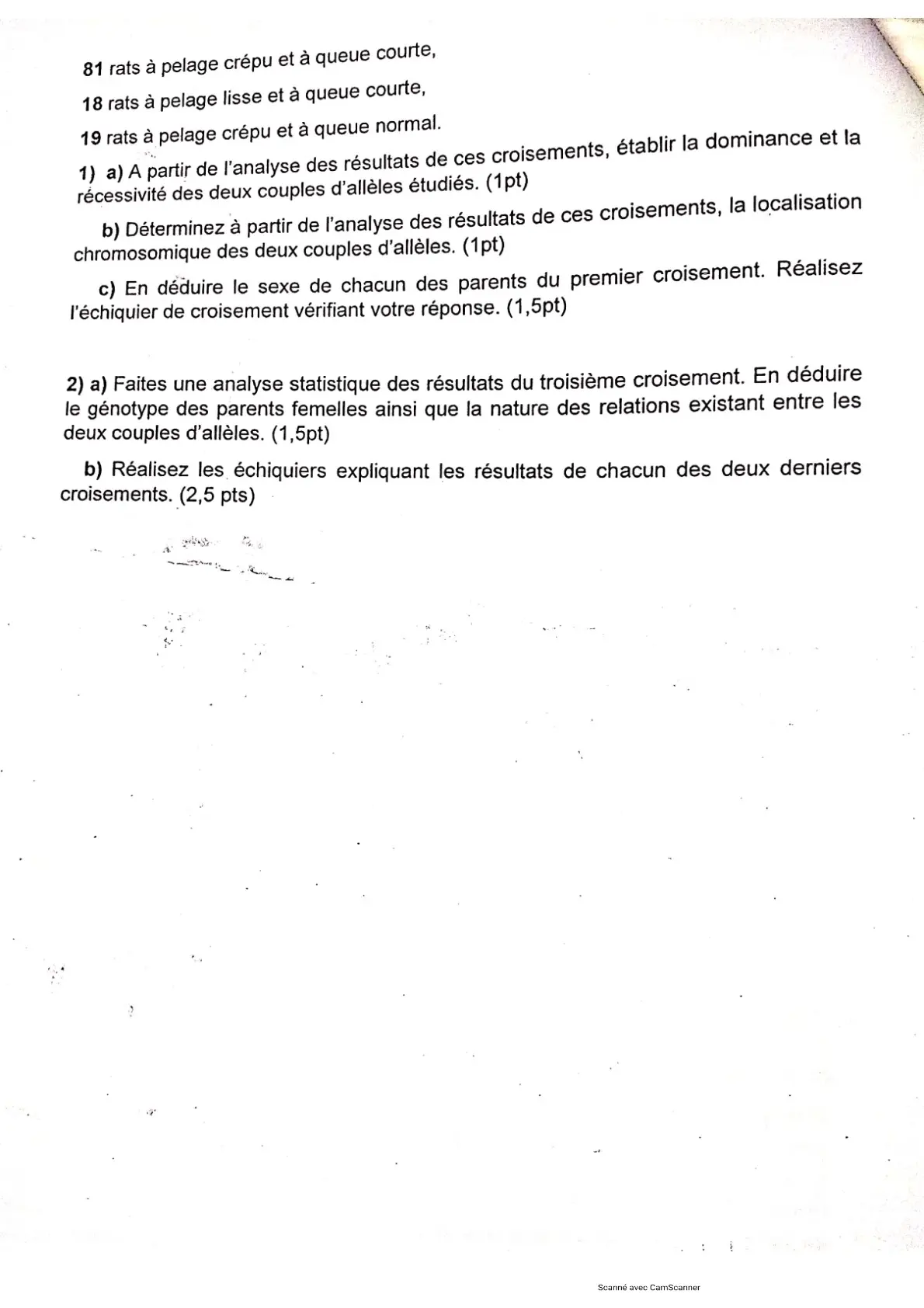 Page 11 — Bac blanc PMK 