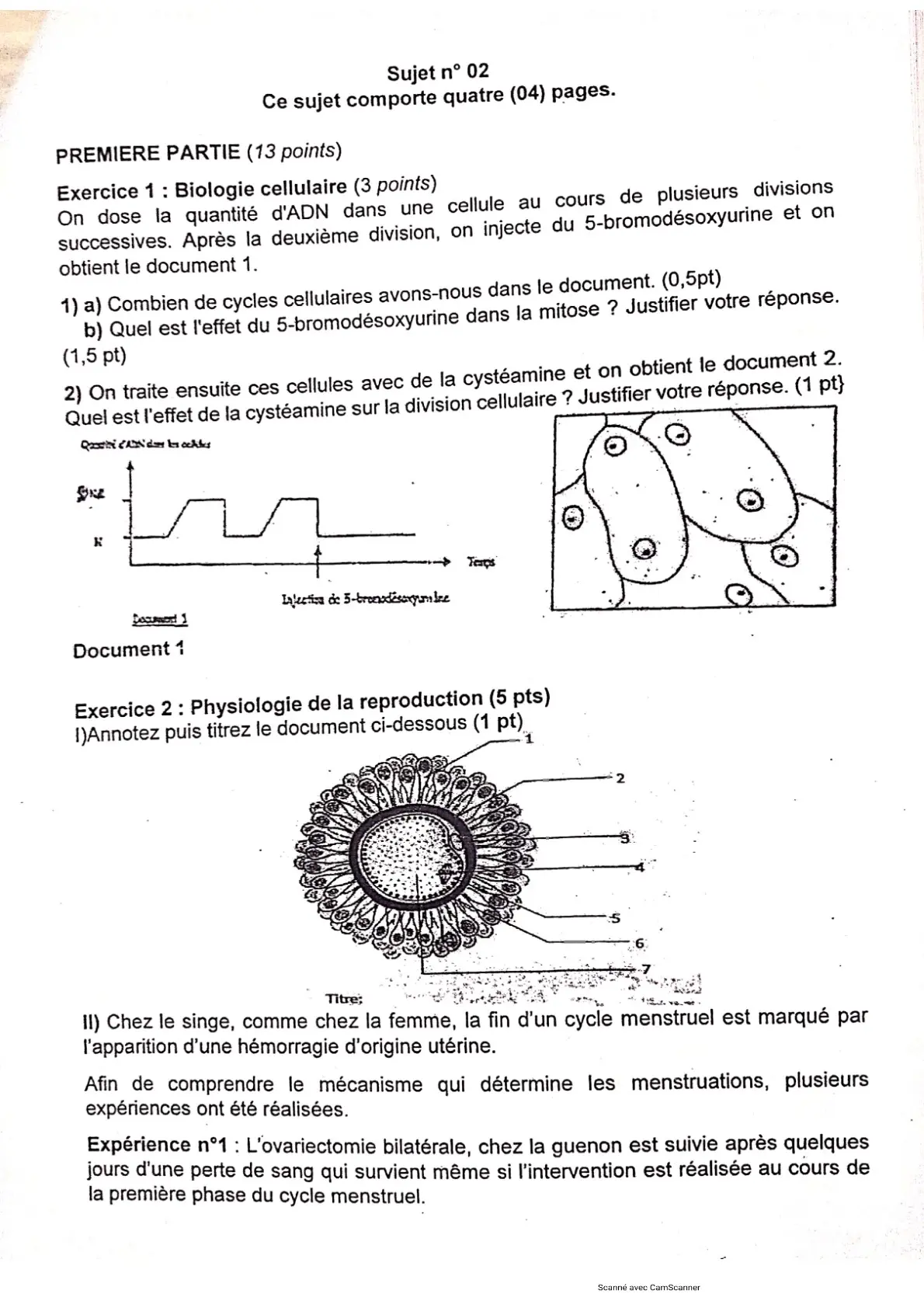 Page 12 — Bac blanc PMK 