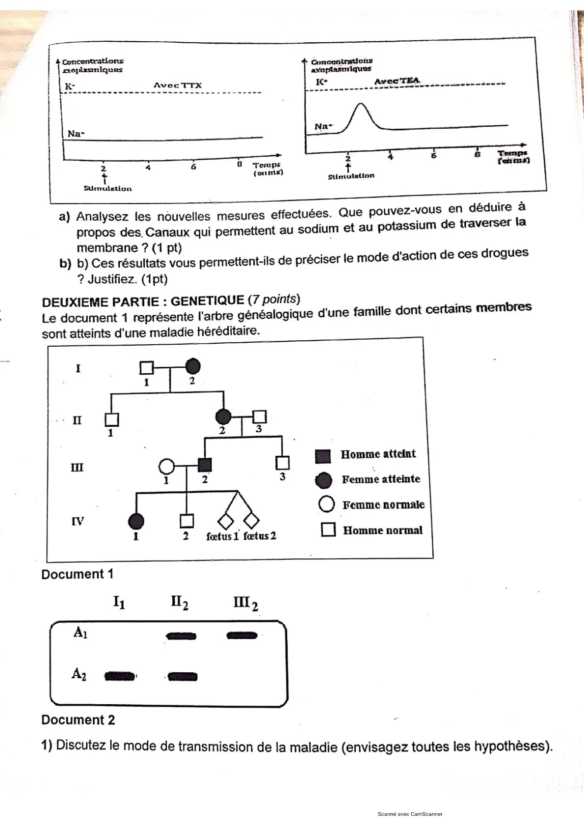 Page 14 — Bac blanc PMK 