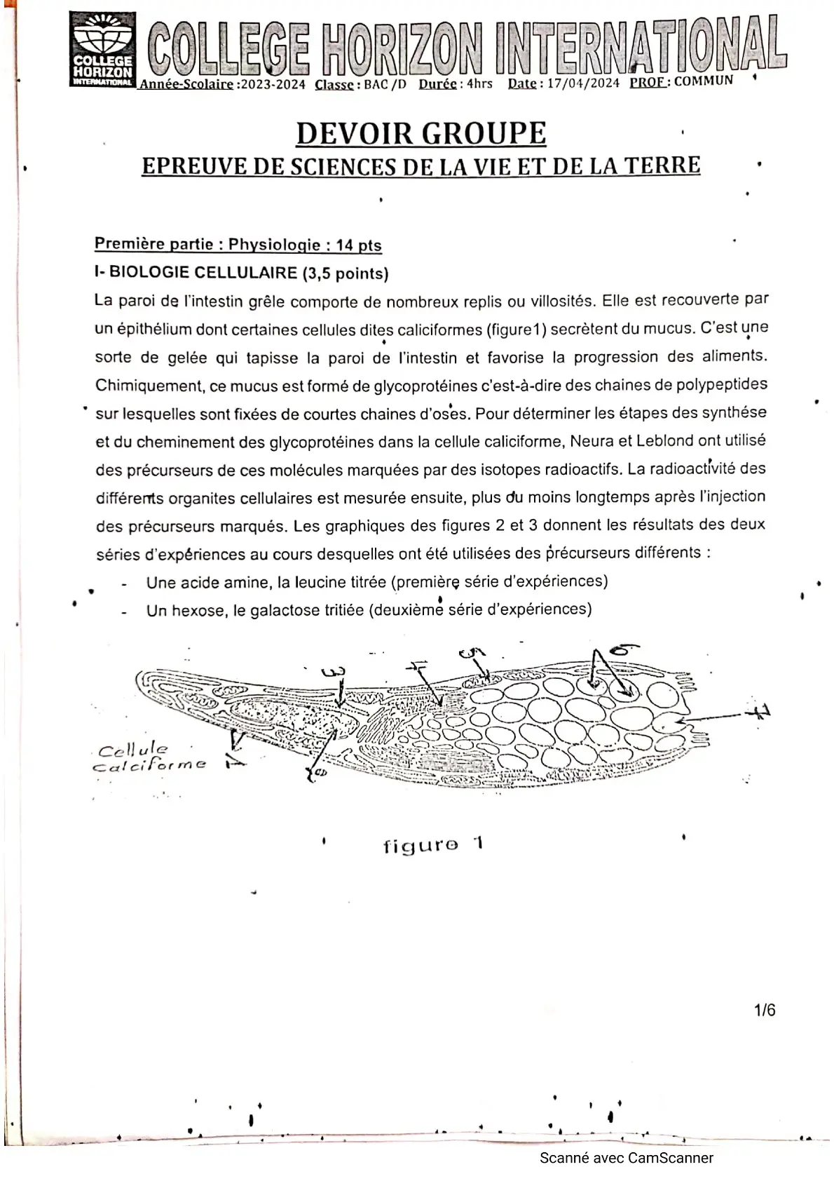 Page 8 — Bac blanc horizon 