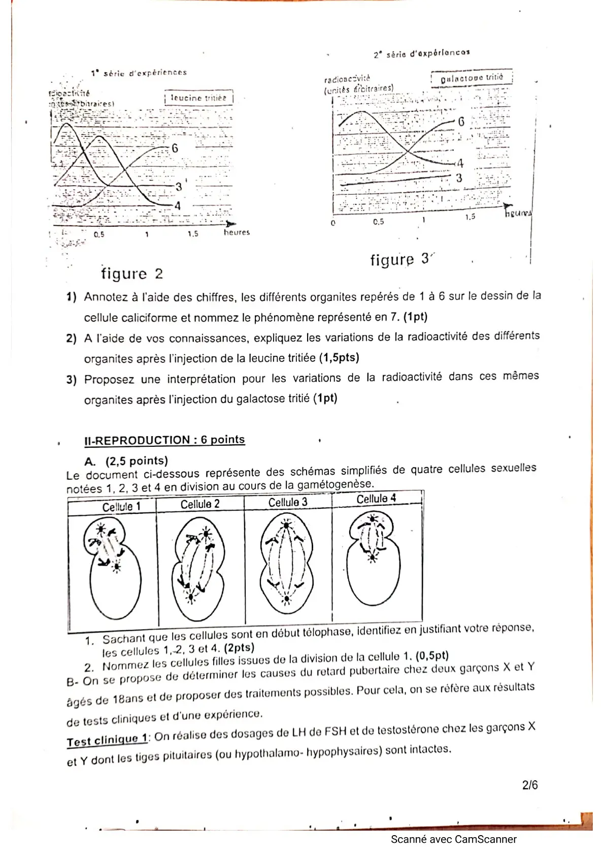 Page 9 — Bac blanc horizon 