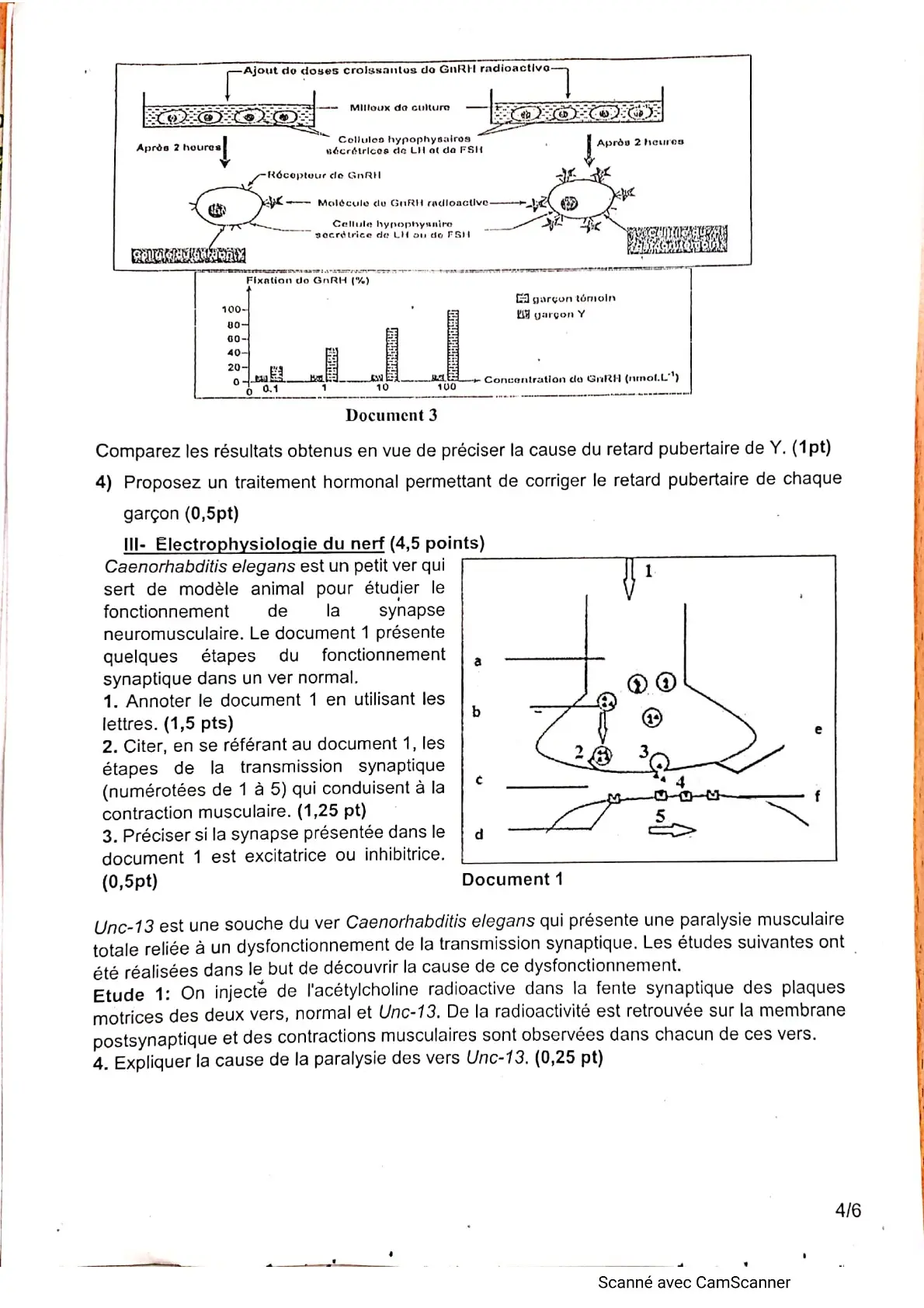 Page 11 — Bac blanc horizon 
