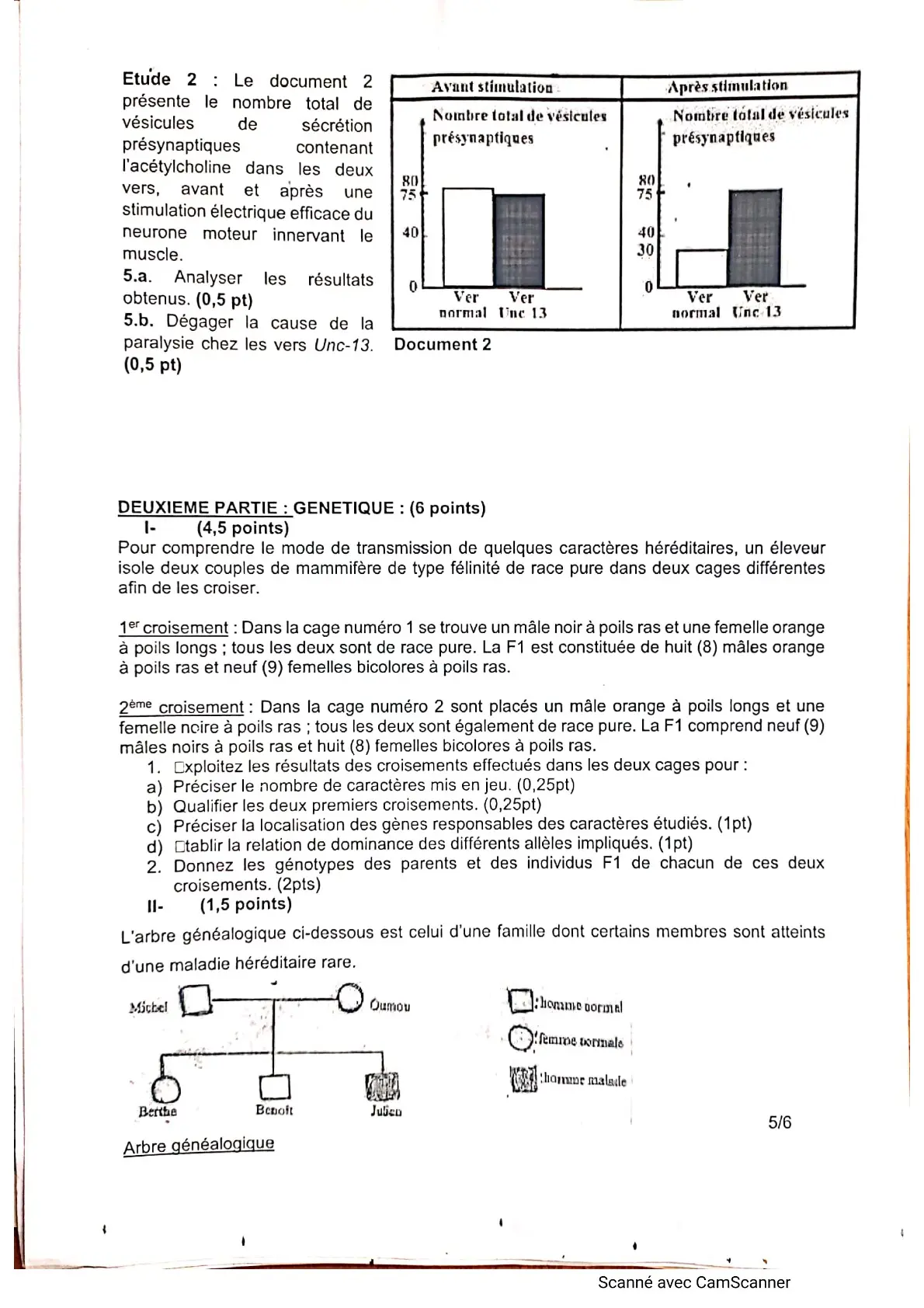 Page 12 — Bac blanc horizon 