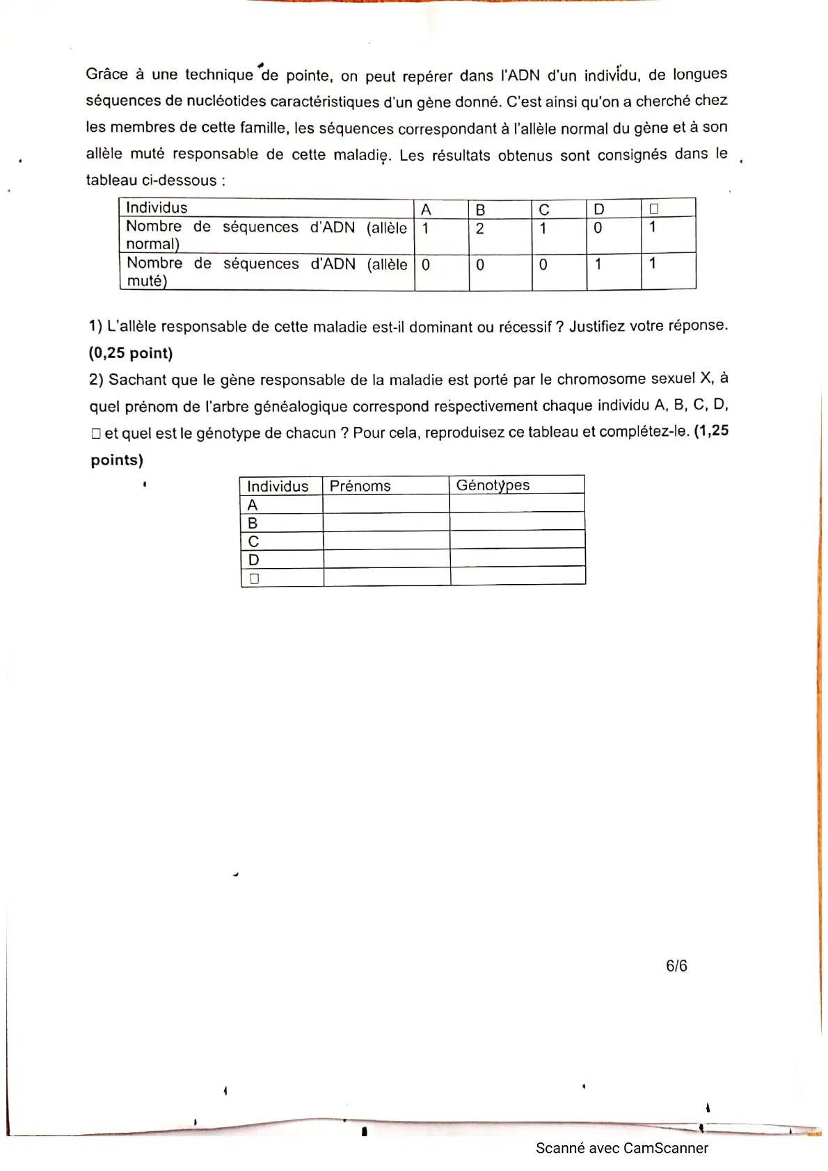 Page 13 — Bac blanc horizon 