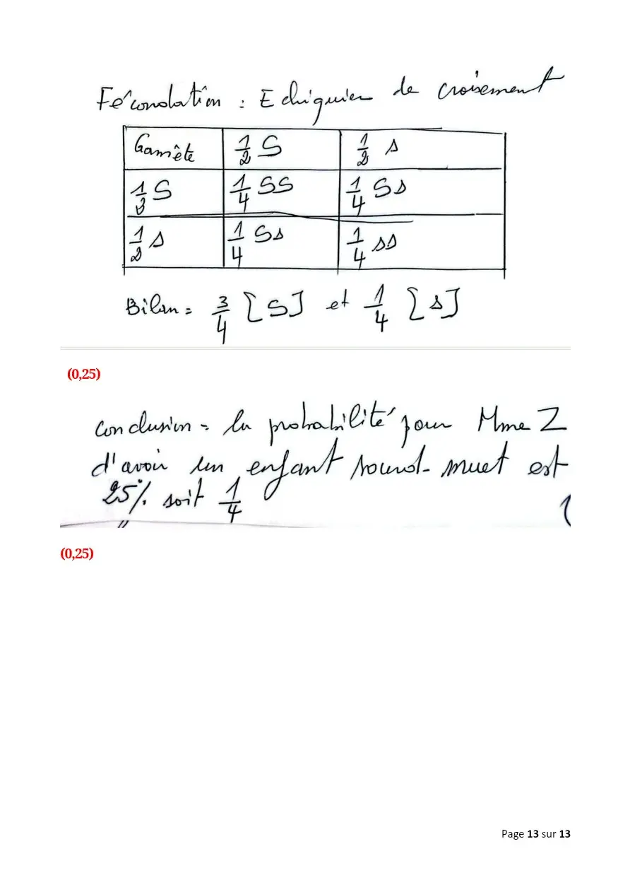 Page 13 — Correction de la composition harmonisé du tuy