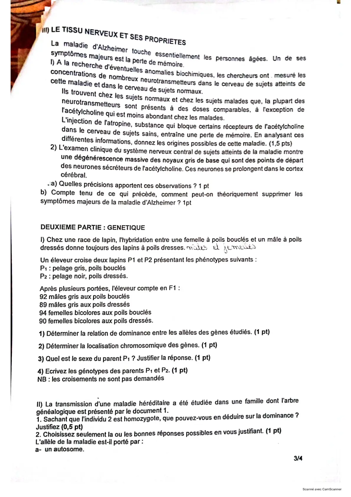 Page 6 — Bac blanc PMK 