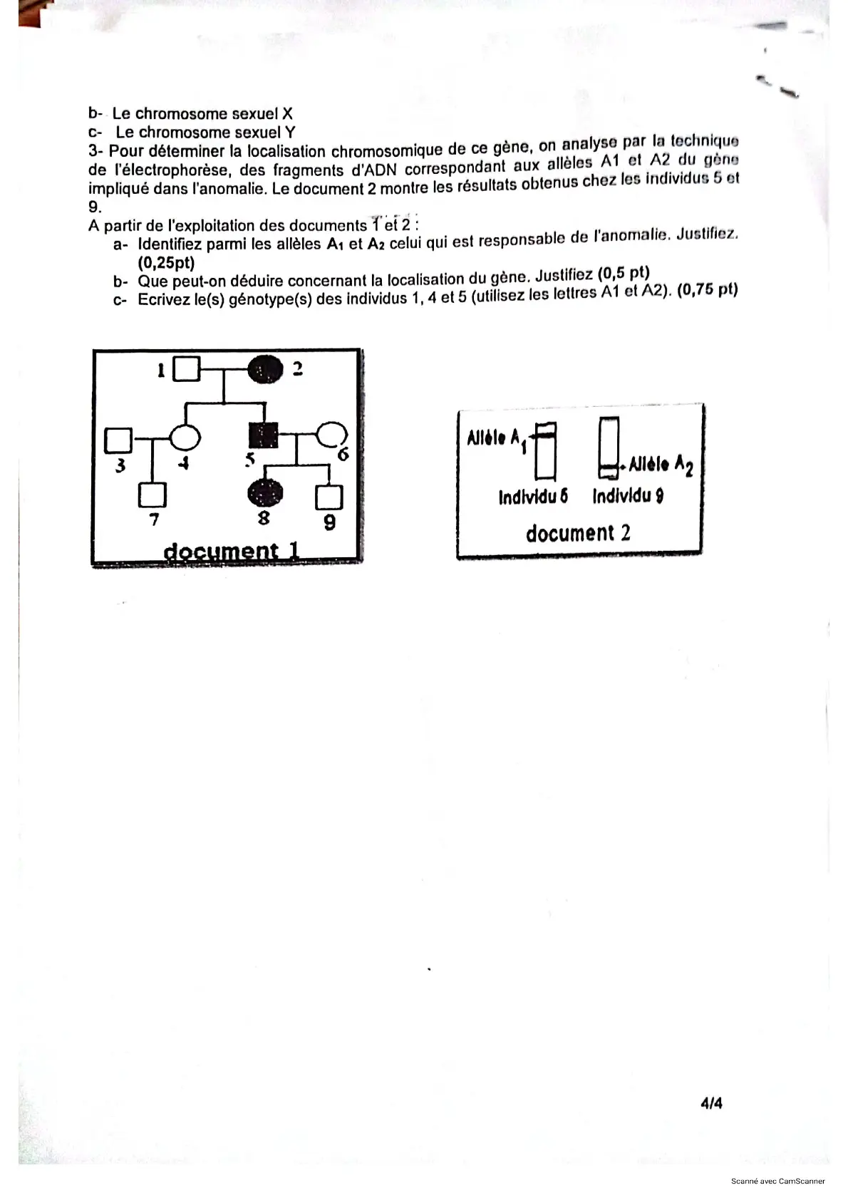 Page 7 — Bac blanc PMK 