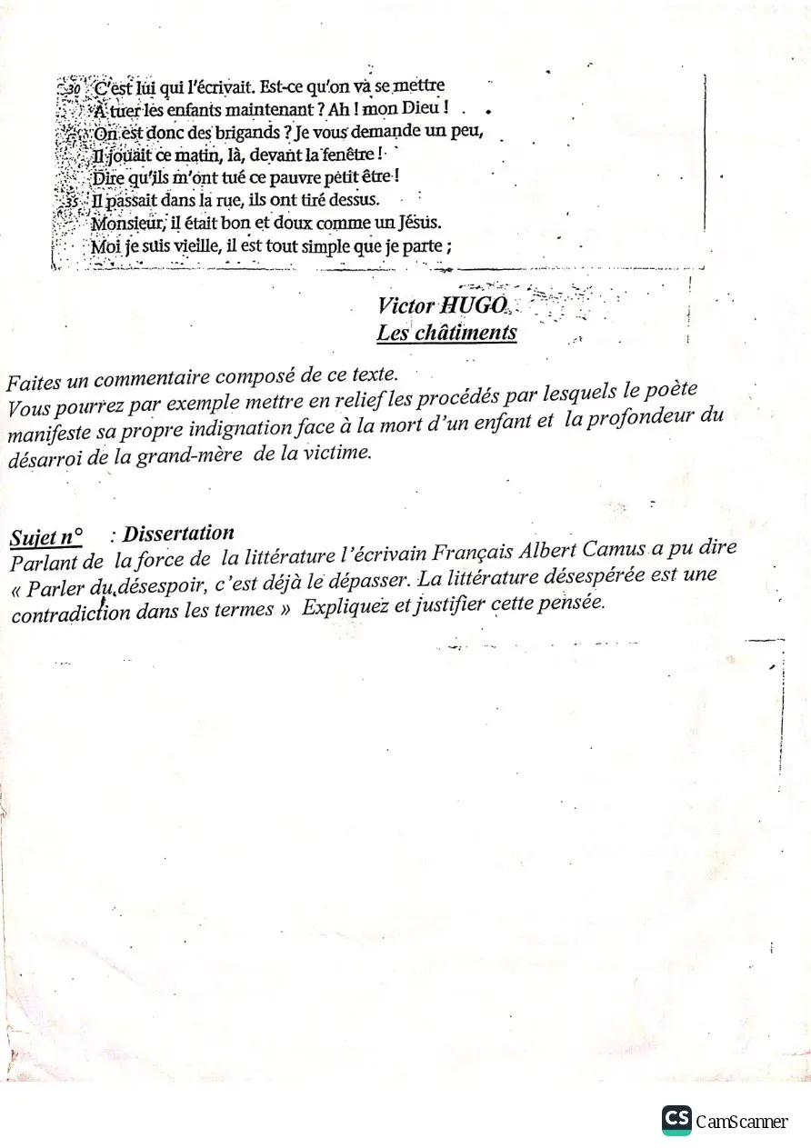 Page 13 — Devoir français 