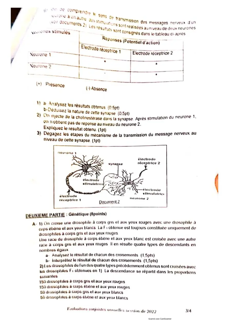 Page 8 — Épreuve du pmk