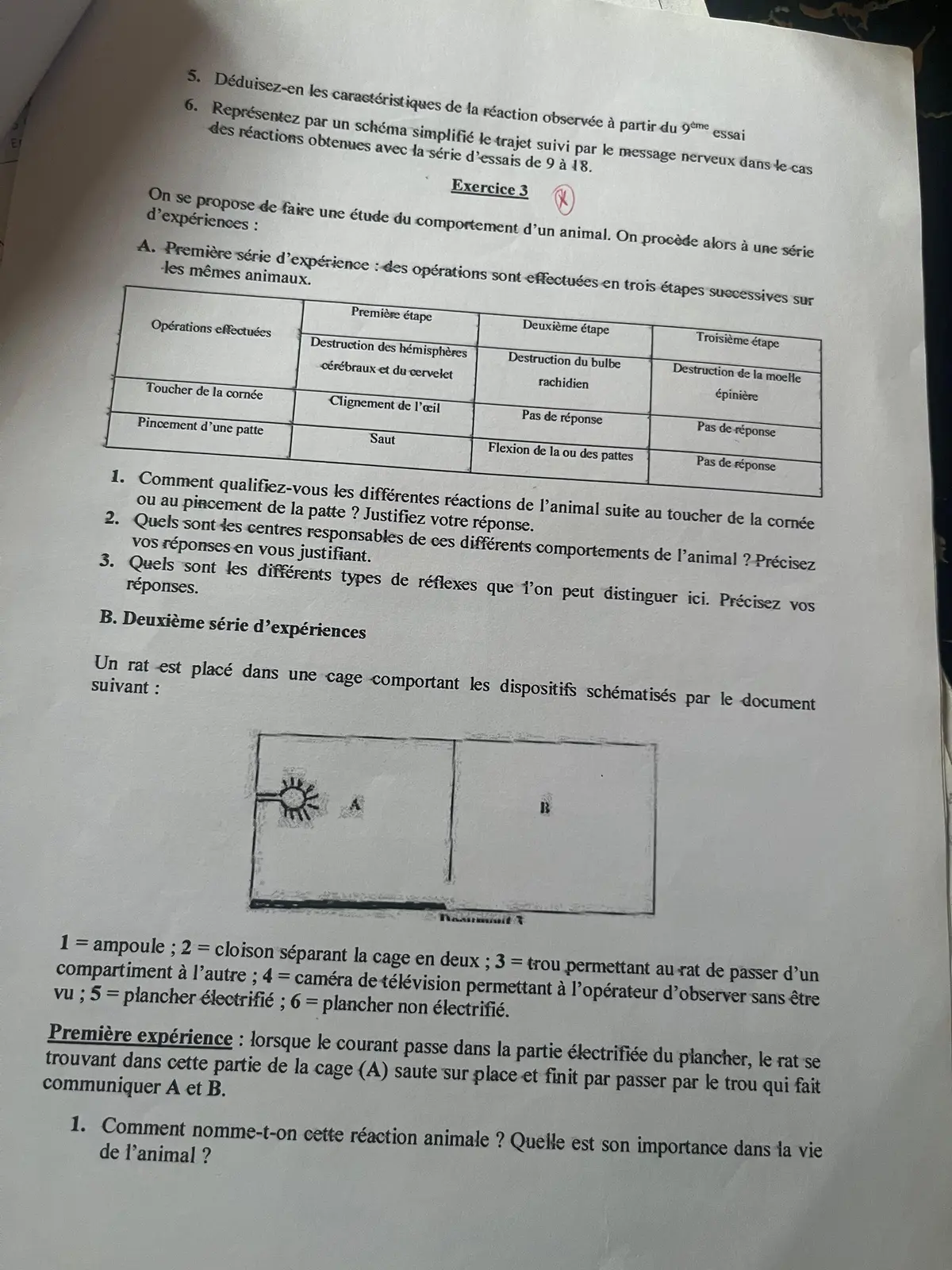 Page 5 — Exercice svt