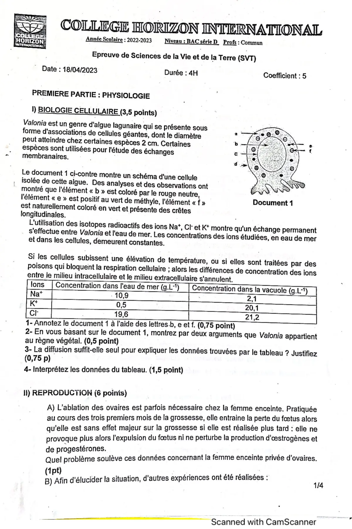 Page 12 — Bac blanc horizon