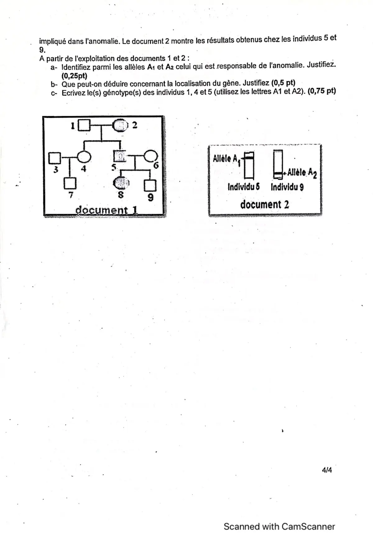 Page 15 — Bac blanc horizon