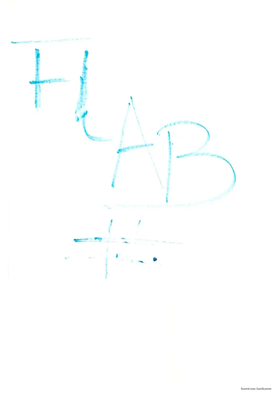 Page 3 — Sujets d'anglais 