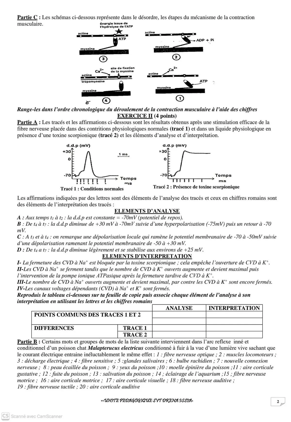 Page 2 — Devoir SVT CI