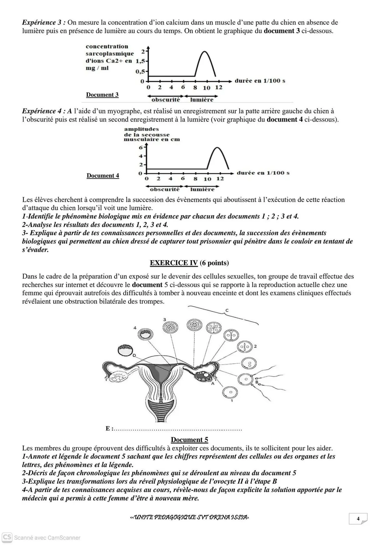 Page 4 — Devoir SVT CI