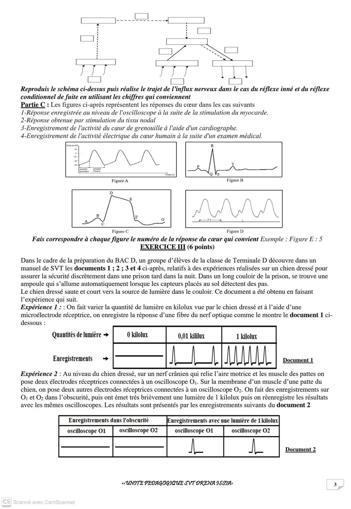 Page 3 — Devoir SVT CI